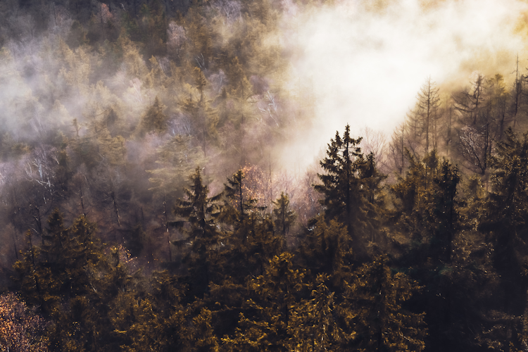 Camping During Smoky Conditions